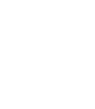 secure broking logo