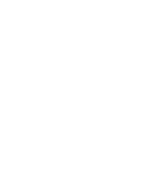 secure broking logo
