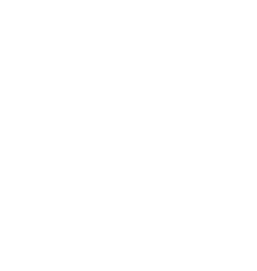 secure broking logo