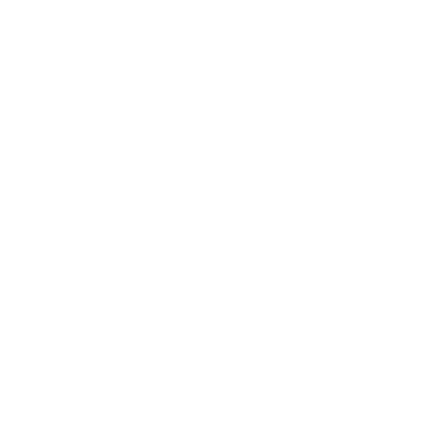 secure broking logo