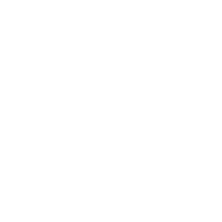 secure broking logo