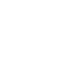 secure broking logo